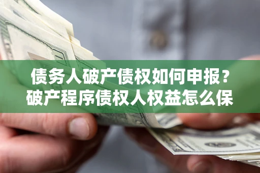 北京债务人破产债权如何申报？破产程序债权人权益怎么保障？