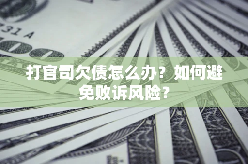 北京打官司欠债怎么办？如何避免败诉风险？