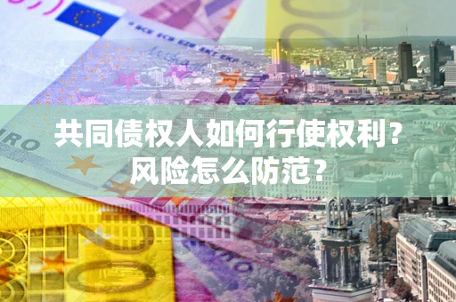 北京共同债权人如何行使权利？风险怎么防范？