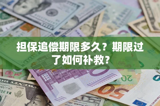 北京担保追偿期限多久？期限过了如何补救？