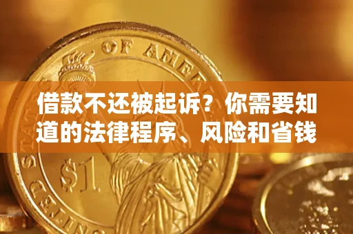 北京借款不还被起诉？你需要知道的法律程序、风险和省钱技巧