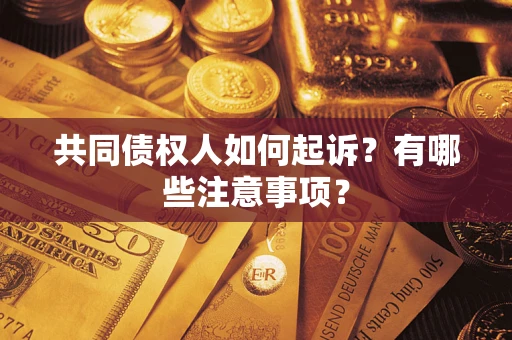 北京共同债权人如何起诉？有哪些注意事项？